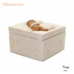 ウィローツリーtrue メモリアルボックス