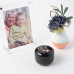 こころ 想桜 蒔絵・螺鈿の美しいミニ骨壷 総漆塗り