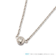 メモリアルジュエリー　MS15 【完全防水/ネックレス】 プラチナ×ダイヤモンド(誕生石)