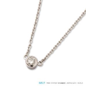 メモリアルジュエリー　MS15 【完全防水/ネックレス】 プラチナ×ダイヤモンド(誕生石)