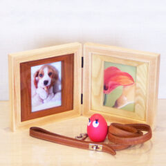 ペットを手元供養するには？メリット・デメリットや供養の方法を解説