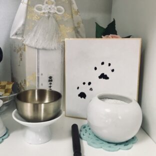 ペットの仏壇（ペットの骨壷）はどこに置くべき？置き場所選びのポイントを徹底解説