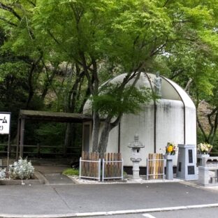 ペットの遺骨はどのように保管するべき?火葬後の供養方法