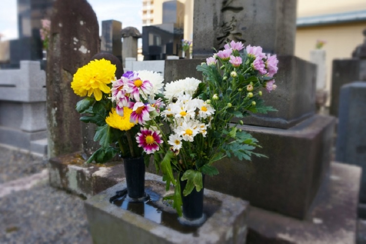 墓じまいする時にはいろいろと手続きが必要なお墓