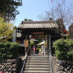 分骨して手元供養をした後の法要について解説