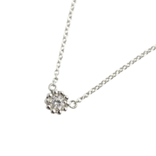 【MS22/Pt900】 完全防水セミオーダー遺骨ペンダントMS22 素材：プラチナ×誕生石（3mm)